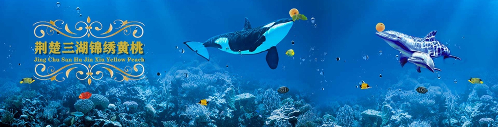 荆楚三湖锦绣黄桃官方网站