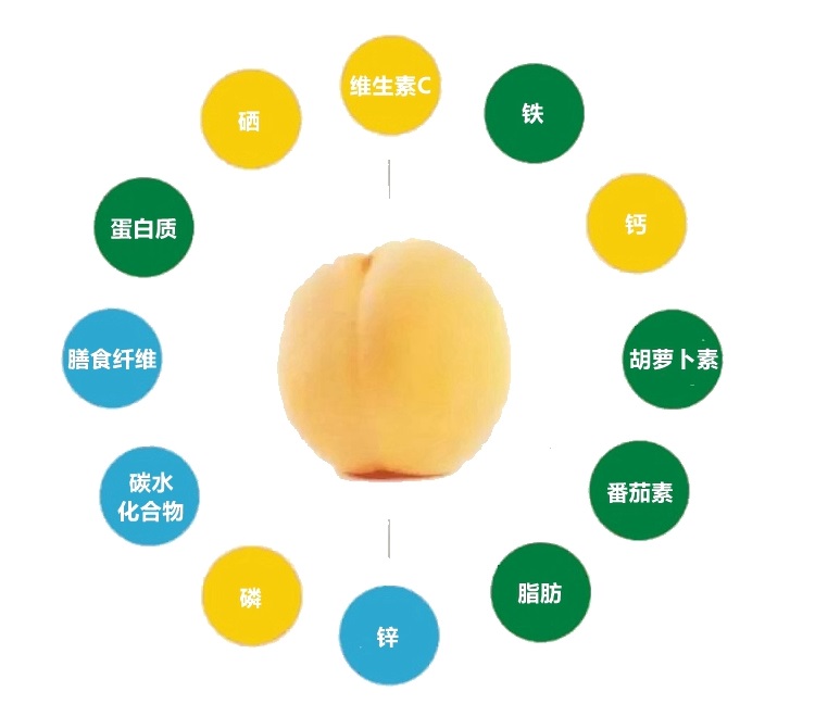【普通装】荆楚三湖锦绣黄桃热销|荆楚三湖锦绣黄桃果肉味甜多汁特价80元/10斤！