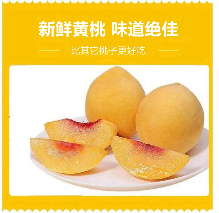 【普通装】荆楚三湖锦绣黄桃热销|荆楚三湖锦绣黄桃果肉味甜多汁特价80元/10斤！