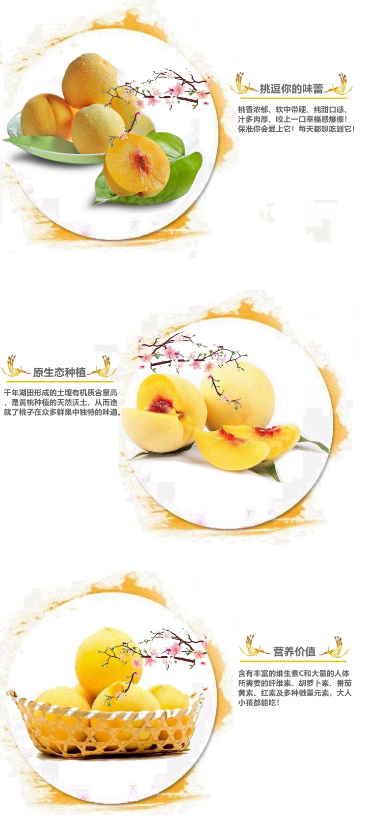 【普通装】荆楚三湖锦绣黄桃热销|荆楚三湖锦绣黄桃果肉味甜多汁特价80元/10斤！